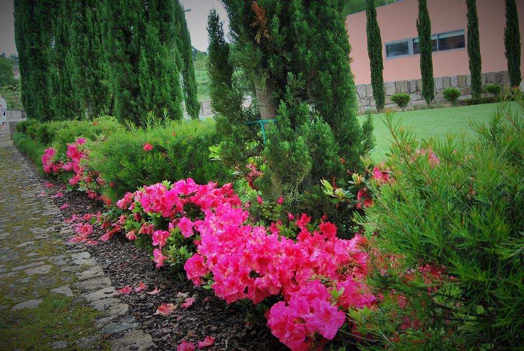 Hotel Quinta Da Cruz & Spa Oliveira Kültér fotó